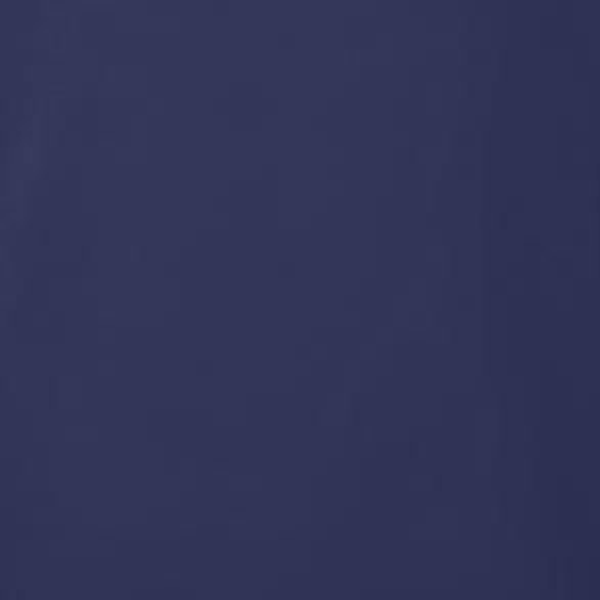 Women's Core Fleece Mock Neck in Navy – color swatch