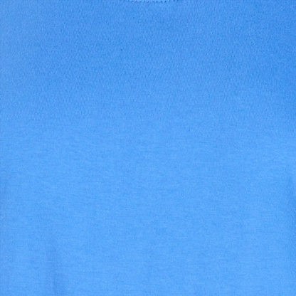 Women's Core Fleece Mock Neck in Collegiate Blue – color swatch