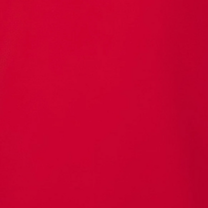 Kids' Core Fleece Mock Neck in True Red – color swatch